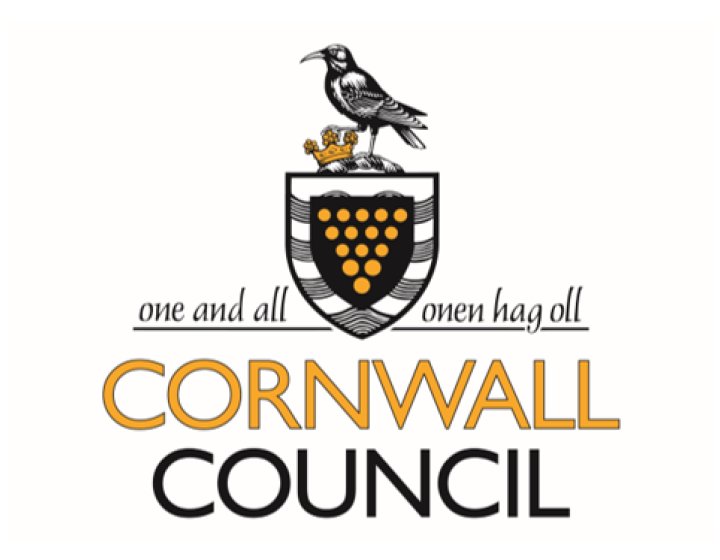 Cornwall Council white logo