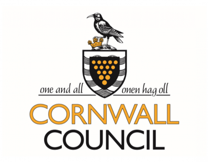 Cornwall Council white logo