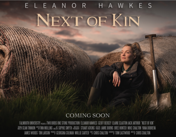 Next of Kin film poster