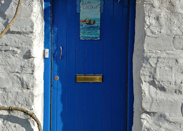 A blue front door with white walls and plants outside