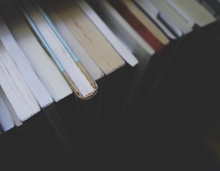 Line of books from above