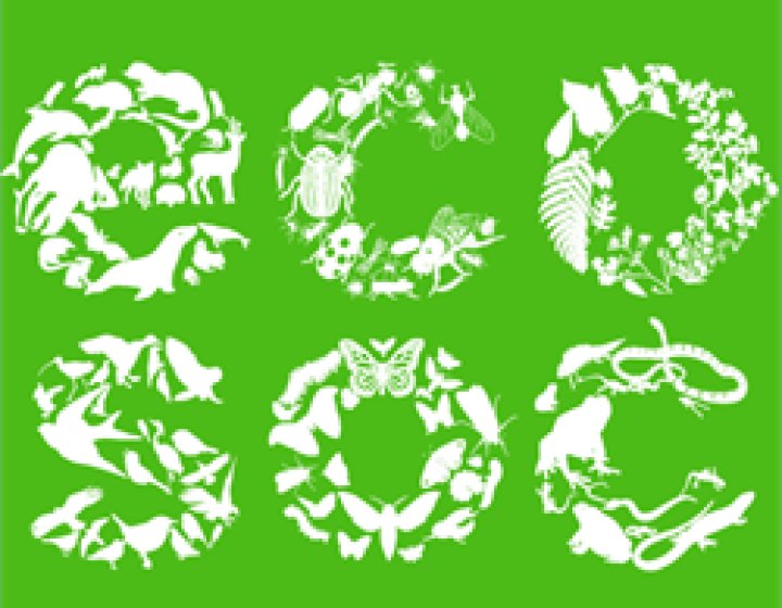 Eco Society Logo