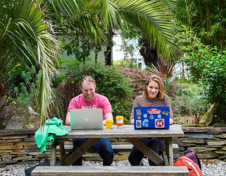 Students working at laptops below palm tree on Falmouth campus.