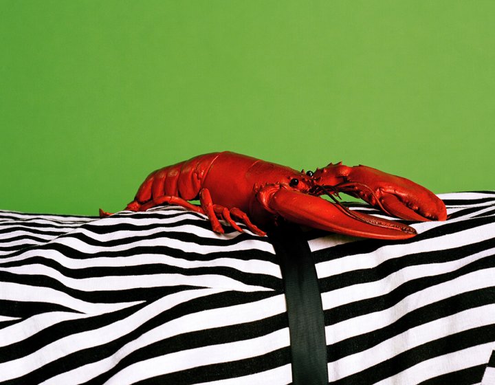 Black and white striped fabric with red lobster on top against green background