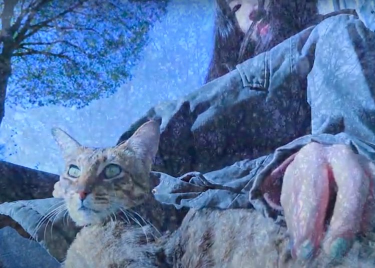 The Times of the Cat 2019 winning video