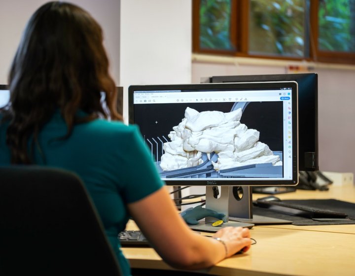 Woman at a computer with a lion illustration on the screen