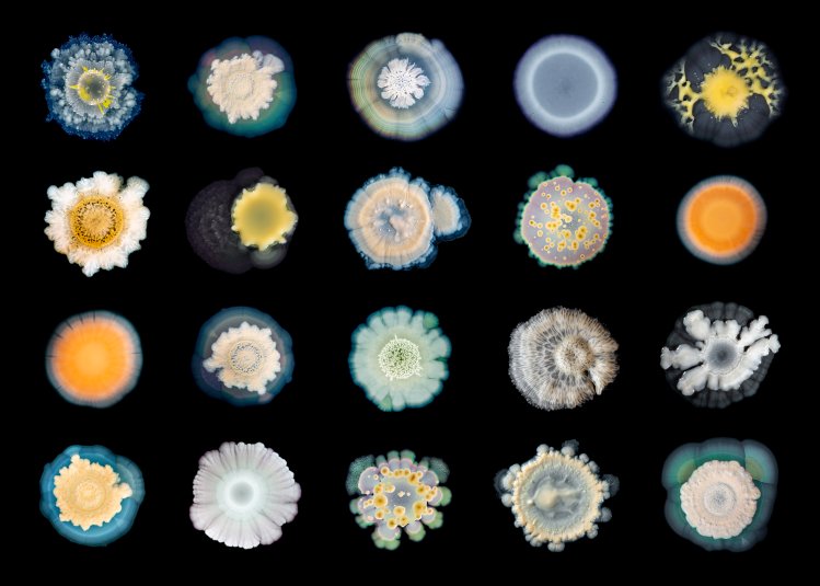 Photo from Should I Stay or Should I Go exhibition