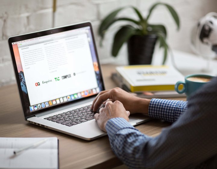 Man studying from home on laptop with house plant