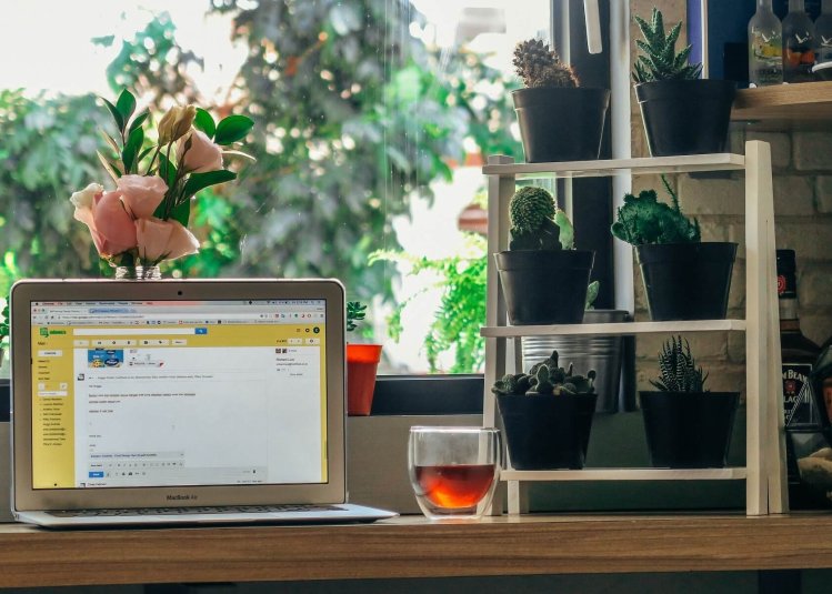 An open laptop on a table with a glass and plants posited behind
