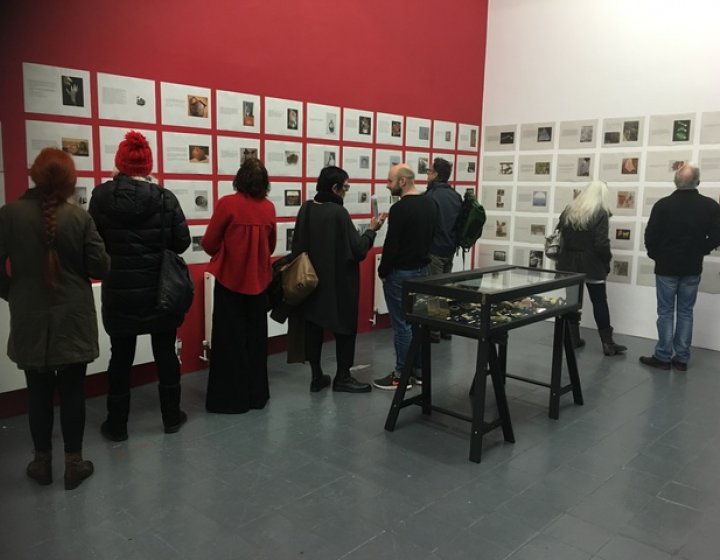 Tears of Things Exhibition 