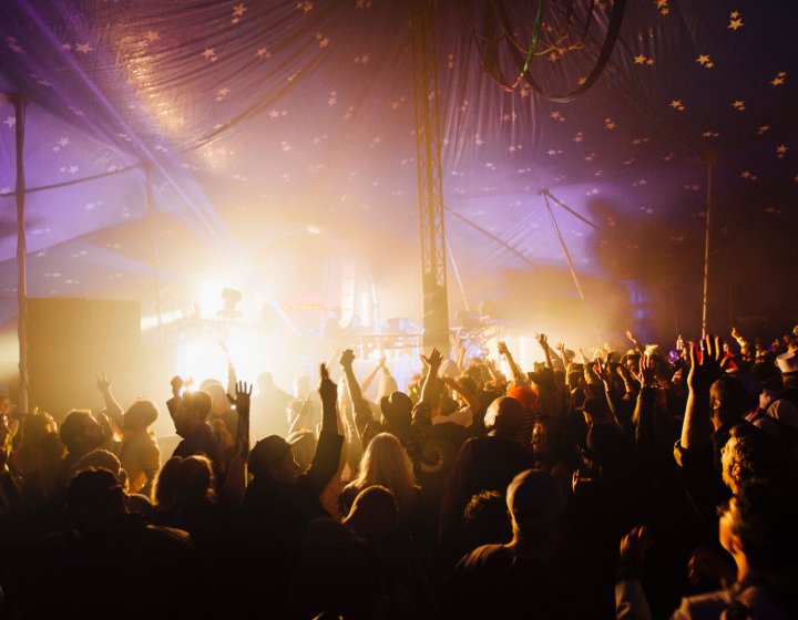 Crowd of people at the Masked Ball, hands waving in the air.