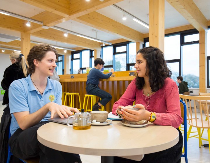 Students chat in the sustainability cafe