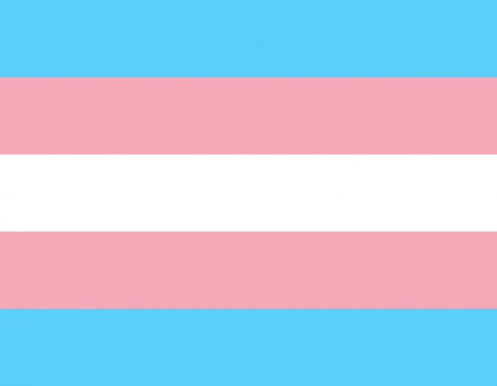Transgender Flag