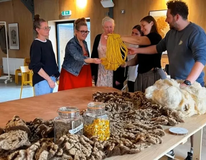A group of people on a farm examining wool