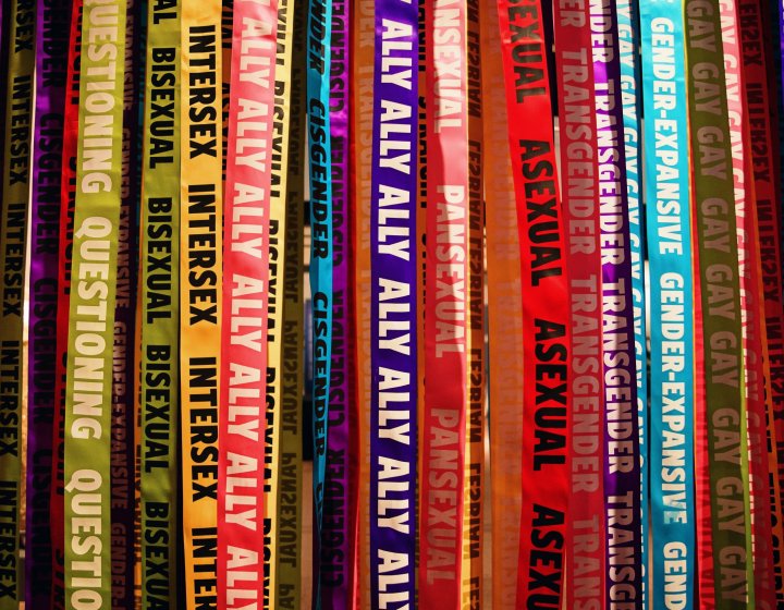 Row of book spines with titles relating to sexuality and gander.