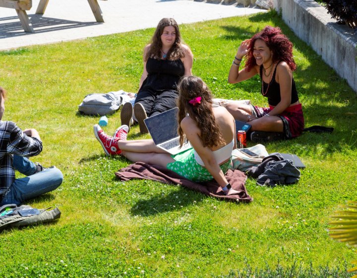 Four students sitting on the grass and chatting on Falmouth University's Penryn Campus