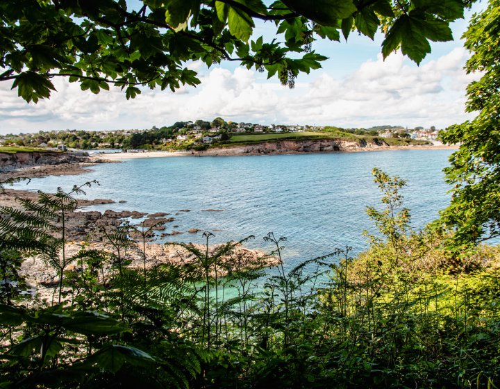 A view of Swanpool Beach framed by trees