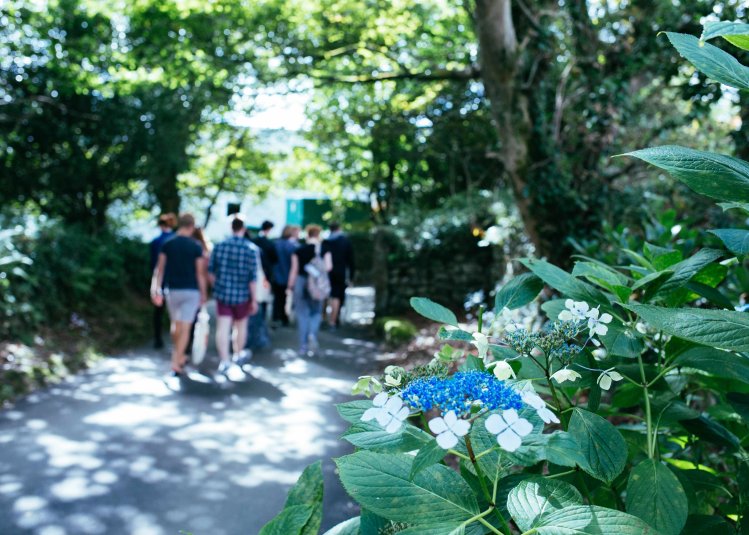 Blue and white flowers are seen in the foreground, with students walking down a pathway in the background