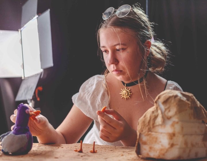 Film courses