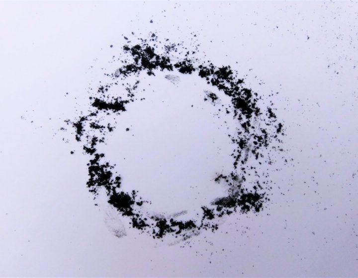 Ant circle