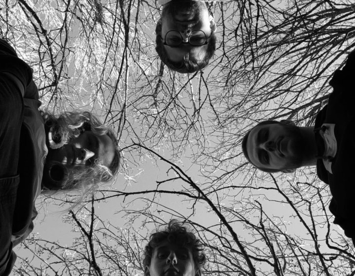 Four musicians looking down at the camera with black and white trees above them