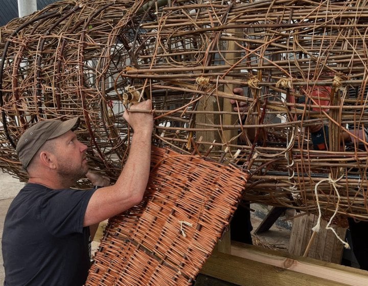 Basket Shark Imagery