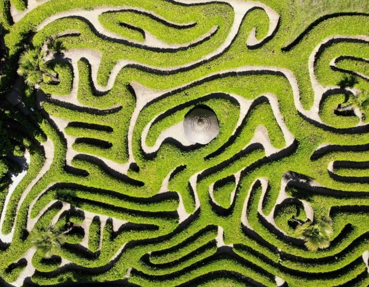 Photograph of the laurel maze at Glendurgan Garden from above