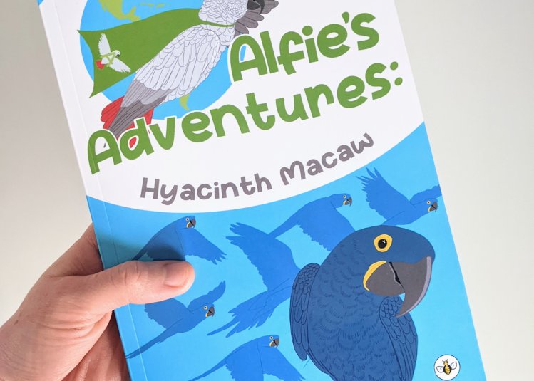 Hayley Jane Smith Illustration MA OL Graduate