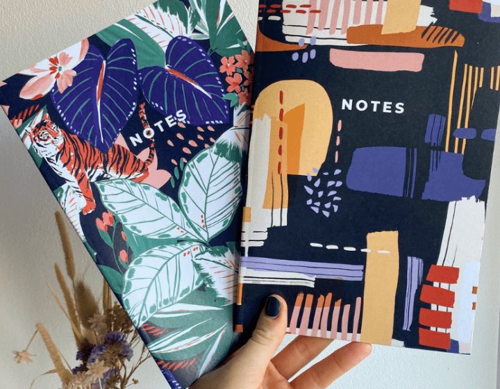 A hand holding two colourful notebooks