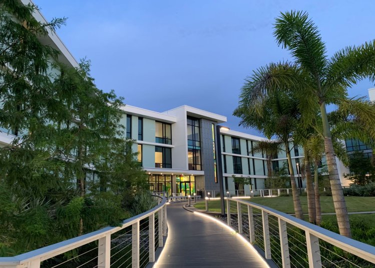 Photo of a large university building in Florida, with walkway lined with palm trees.