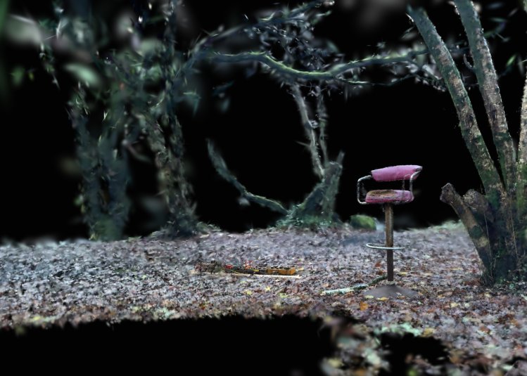 Listening to Kernow’s Trees