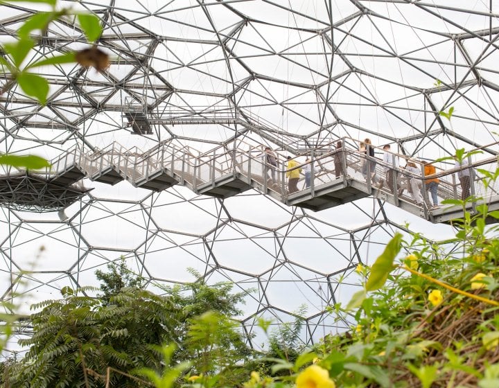 The Eden Project