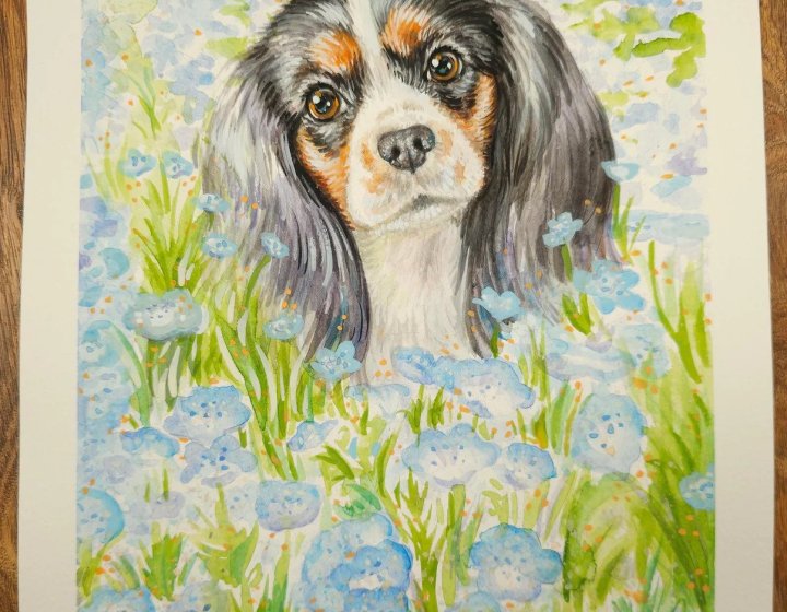 Jolly Pet Portraits