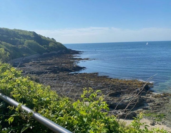 View of the sea with rocks and green shrubs