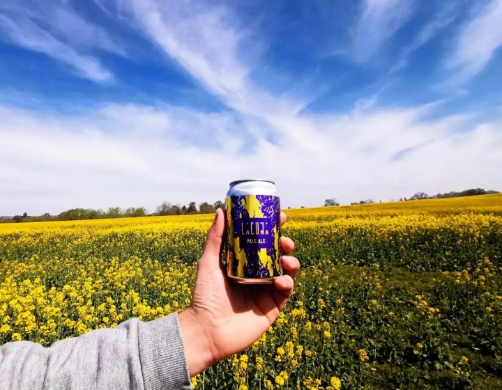 A can of Lacuna IPA is held in front of a field on a sunny day