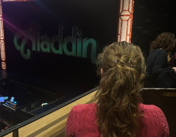 Back of a student's head sitting in a theatre