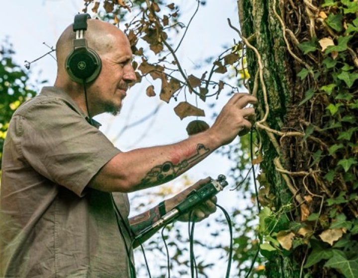 A man recording the sound of a tree