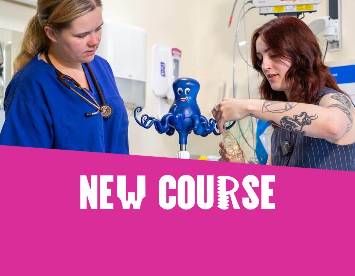 Image advertising our course page