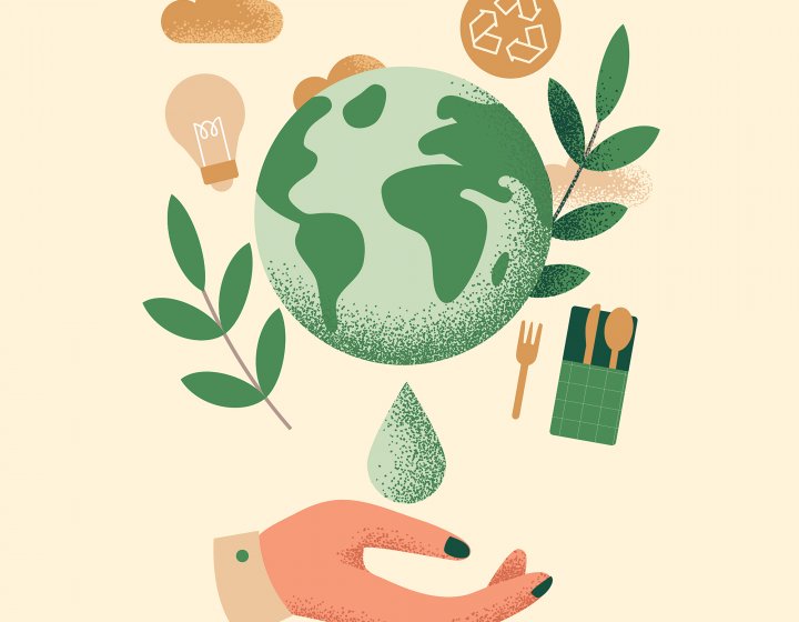 An illustration of the globe, leaves and a lightbulb