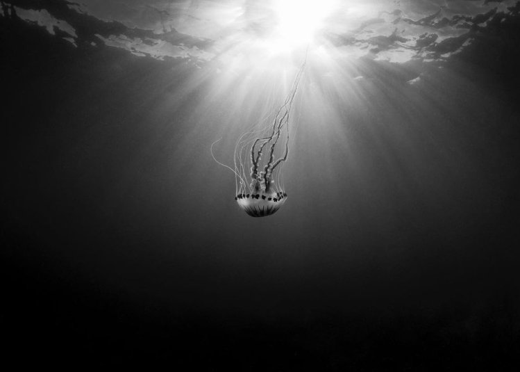 'Abyss' by Gina Goodman 