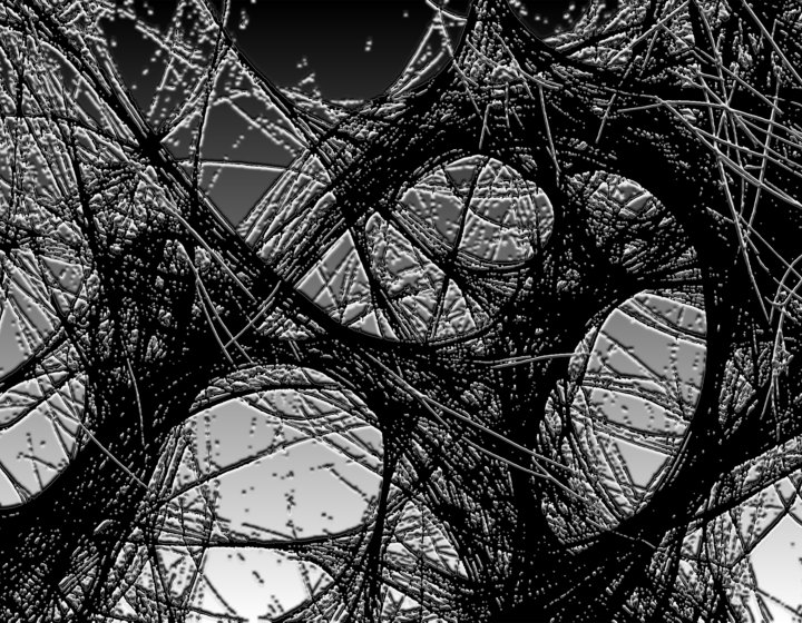 Transversal Imaginaries