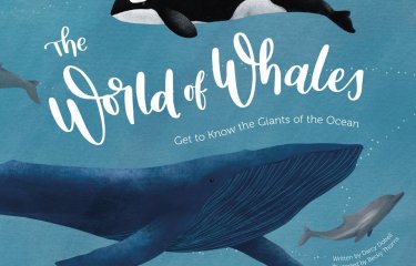 The World of Whales book cover