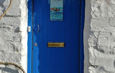 A blue front door with white walls and plants outside