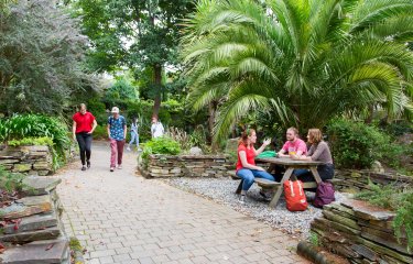 Students sitting and under a fern and walking through Falmouth campus greenery.