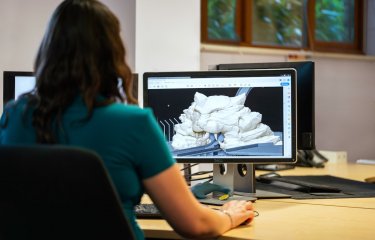 Woman at a computer with a lion illustration on the screen