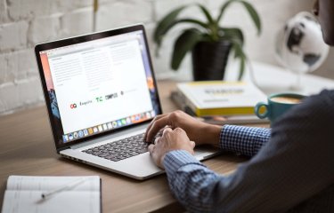 Man studying from home on laptop with house plant