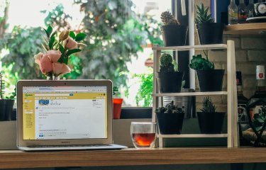 An open laptop on a table with a glass and plants posited behind