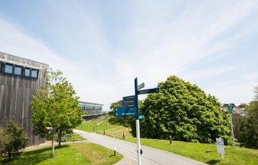 Blue signpost on Penryn Campus with trees and path