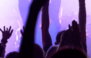 Crowd at a Festival
