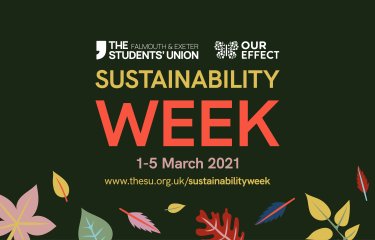 Sustainability Week Assets Web Size